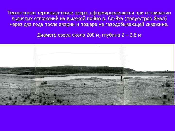 Техногенное термокарстовое озеро, сформировавшееся при оттаивании льдистых отложений на высокой пойме р. Се-Яха (полуостров