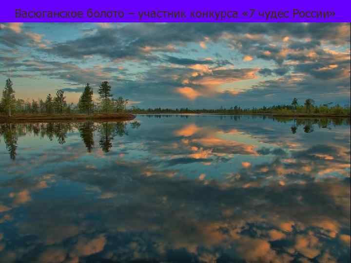 Васюганское болото – участник конкурса « 7 чудес России» 