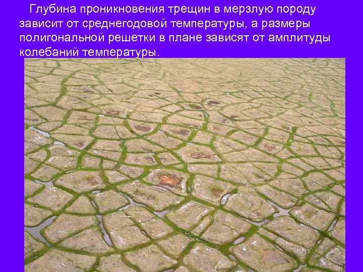 Глубина проникновения трещин в мерзлую породу зависит от среднегодовой температуры, а размеры полигональной решетки