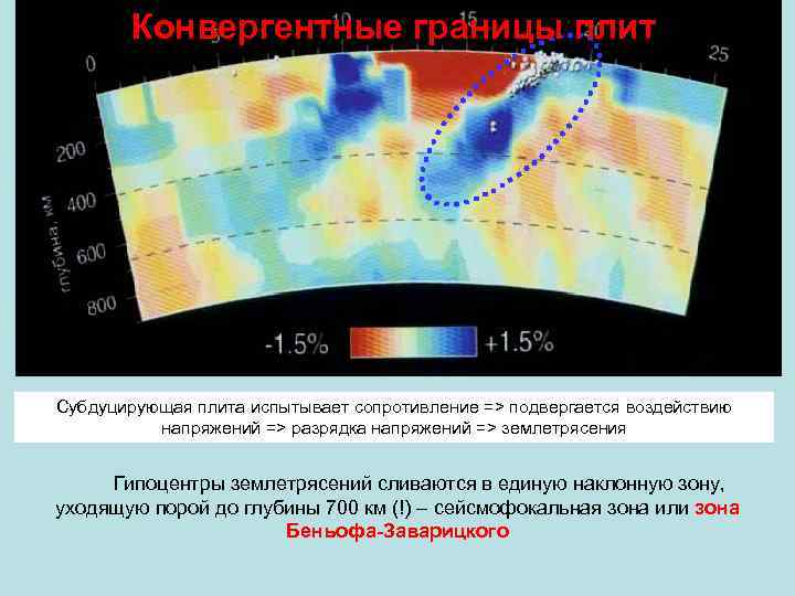 Конвергентные границы плит Субдуцирующая плита испытывает сопротивление => подвергается воздействию напряжений => разрядка напряжений