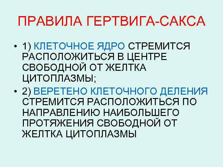 ПРАВИЛА ГЕРТВИГА-САКСА • 1) КЛЕТОЧНОЕ ЯДРО СТРЕМИТСЯ РАСПОЛОЖИТЬСЯ В ЦЕНТРЕ СВОБОДНОЙ ОТ ЖЕЛТКА ЦИТОПЛАЗМЫ;