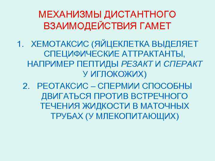 МЕХАНИЗМЫ ДИСТАНТНОГО ВЗАИМОДЕЙСТВИЯ ГАМЕТ 1. ХЕМОТАКСИС (ЯЙЦЕКЛЕТКА ВЫДЕЛЯЕТ СПЕЦИФИЧЕСКИЕ АТТРАКТАНТЫ, НАПРИМЕР ПЕПТИДЫ РЕЗАКТ И