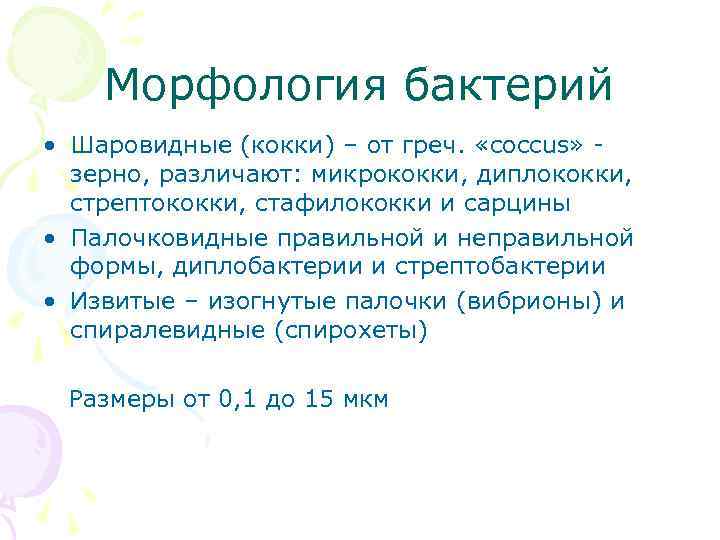 Морфология бактерий • Шаровидные (кокки) – от греч. «coccus» зерно, различают: микрококки, диплококки, стрептококки,