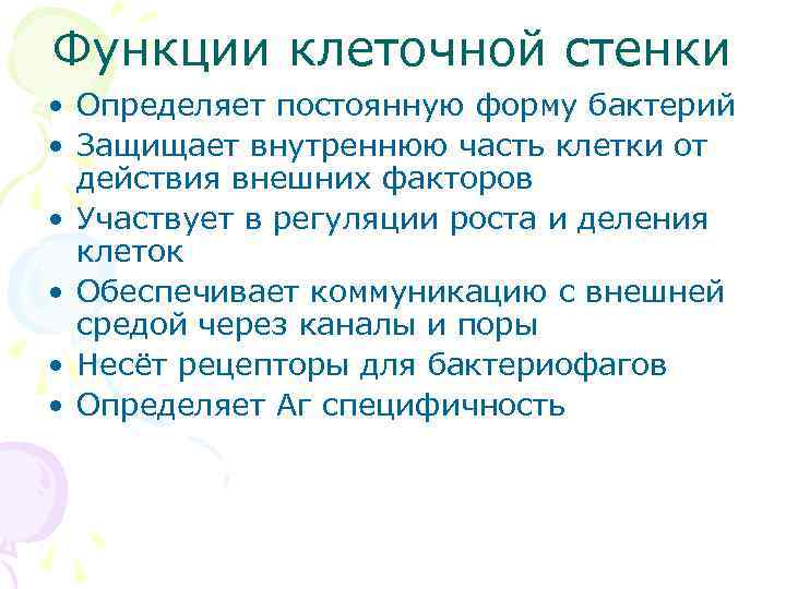 Функции клеточной стенки • Определяет постоянную форму бактерий • Защищает внутреннюю часть клетки от