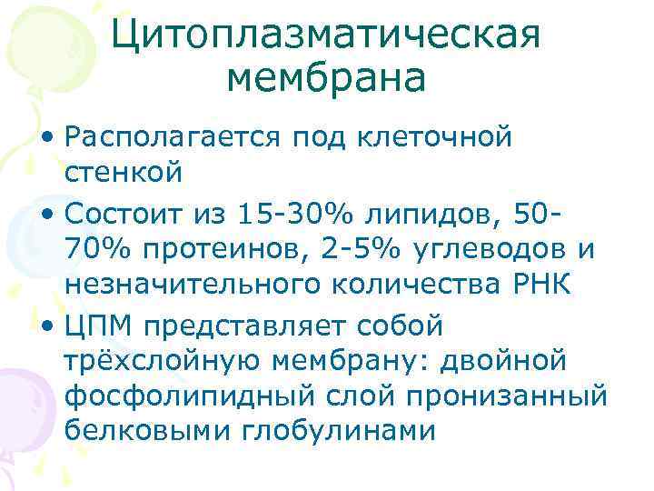 Цитоплазматическая мембрана • Располагается под клеточной стенкой • Состоит из 15 -30% липидов, 5070%