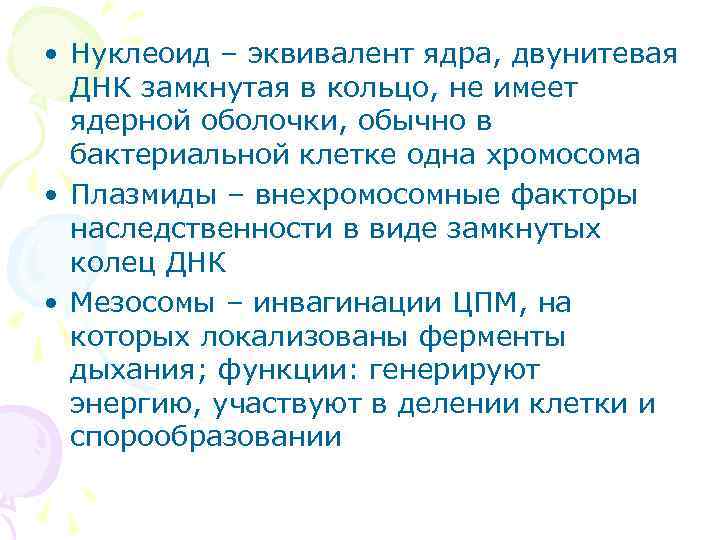  • Нуклеоид – эквивалент ядра, двунитевая ДНК замкнутая в кольцо, не имеет ядерной