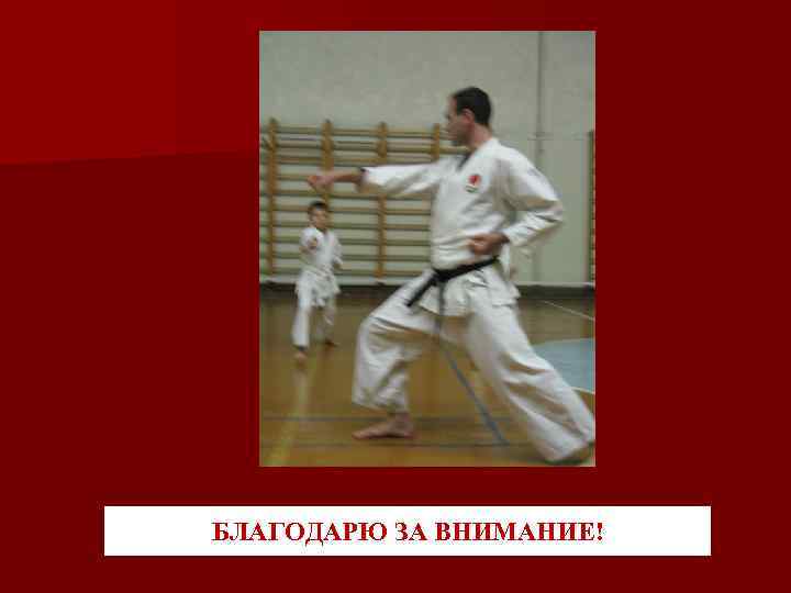 БЛАГОДАРЮ ЗА ВНИМАНИЕ! 