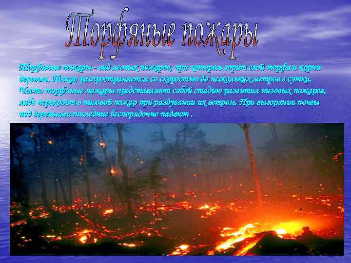 Торфяные пожары - вид лесных пожаров, при котором горит слой торфа и корни деревьев.