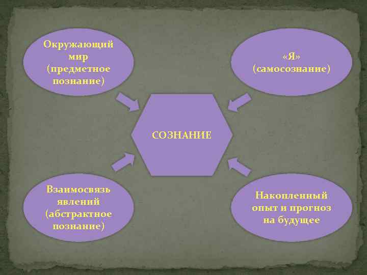 Окружающий мир (предметное познание) «Я» (самосознание) СОЗНАНИЕ Взаимосвязь явлений (абстрактное познание) Накопленный опыт и