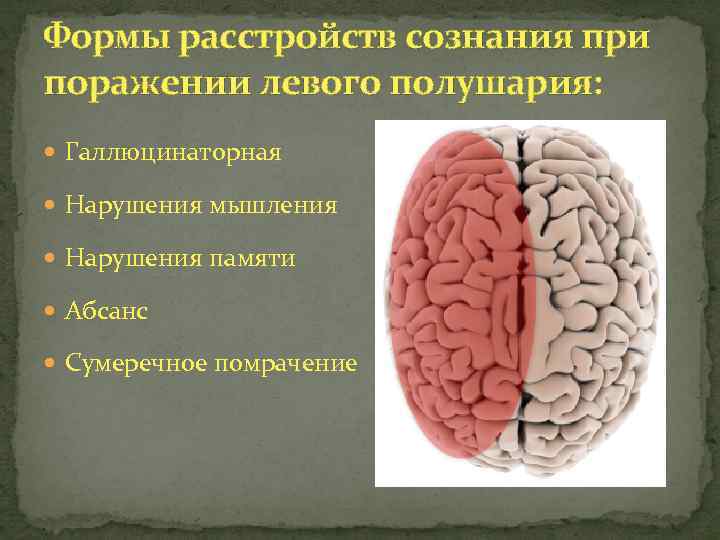 Атрофия полушарий мозга. При поражении левого полушария. Полушария головного мозга.