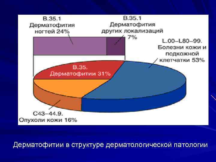 Дерматофитии в структуре дерматологической патологии 