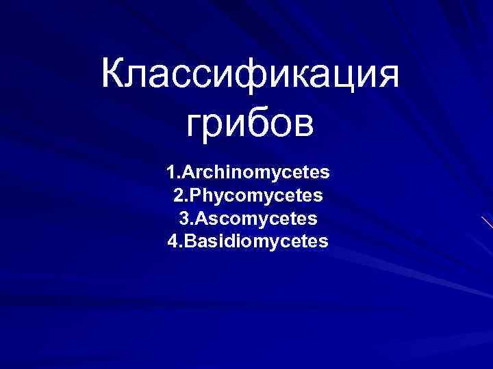 Классификация грибов 1. Archinomycetes 2. Phycomycetes 3. Ascomycetes 4. Basidiomycetes 
