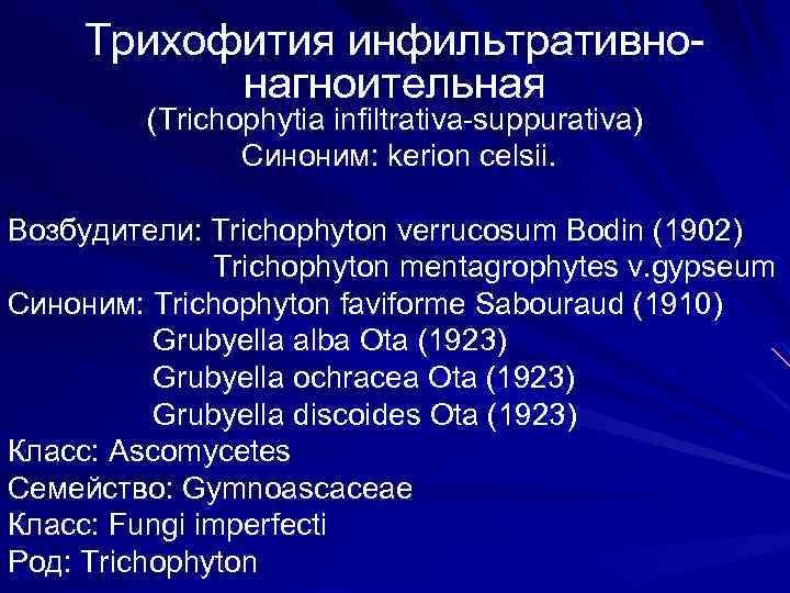 Трихофития инфильтративнонагноительная (Trichophytia infiltrativa-suppurativa) Синоним: kerion celsii. Возбудители: Trichophyton verrucosum Bodin (1902) Trichophyton mentagrophytes