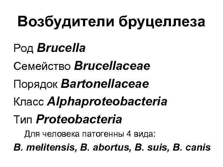 Возбудители бруцеллеза Род Brucella Семейство Brucellaceae Порядок Bartonellaceae Класс Alphaproteobacteria Тип Proteobacteria Для человека