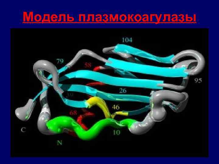 Модель плазмокоагулазы 