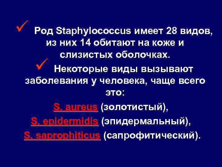 ü Род Staphylococcus имеет 28 видов, из них 14 обитают на коже и слизистых