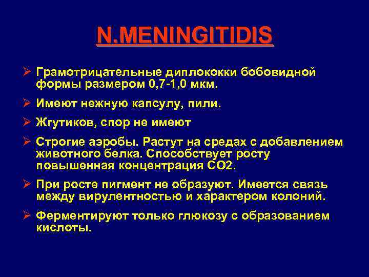 N. MENINGITIDIS Ø Грамотрицательные диплококки бобовидной формы размером 0, 7 -1, 0 мкм. Ø