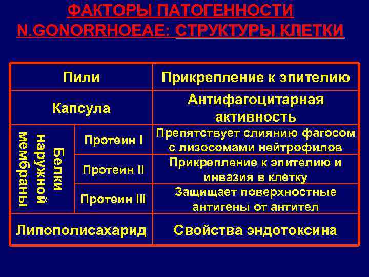 ФАКТОРЫ ПАТОГЕННОСТИ N. GONORRHOEAE: СТРУКТУРЫ КЛЕТКИ Пили Прикрепление к эпителию Капсула Антифагоцитарная активность Белки