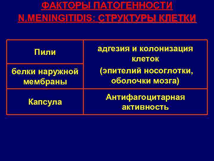 ФАКТОРЫ ПАТОГЕННОСТИ N. MENINGITIDIS: СТРУКТУРЫ КЛЕТКИ Пили белки наружной мембраны Капсула адгезия и колонизация