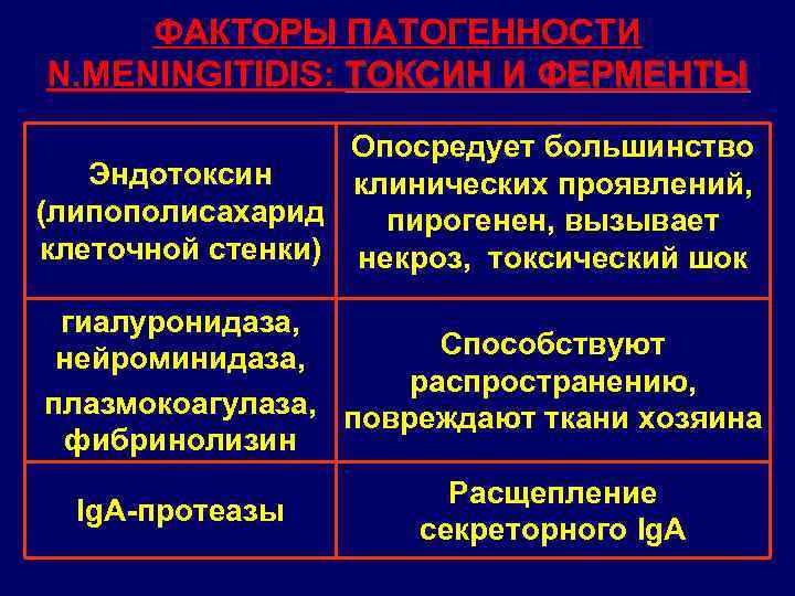 ФАКТОРЫ ПАТОГЕННОСТИ N. MENINGITIDIS: ТОКСИН И ФЕРМЕНТЫ Опосредует большинство Эндотоксин клинических проявлений, (липополисахарид пирогенен,