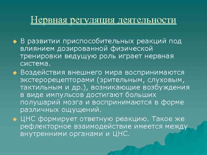  Нервная регуляция деятельности u  В развитии приспособительных реакций под влиянием дозированной физической