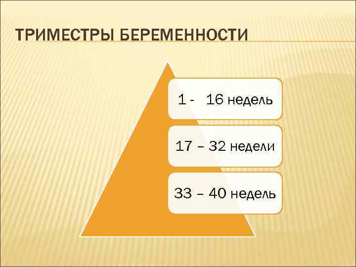 ТРИМЕСТРЫ БЕРЕМЕННОСТИ 1 - 16 недель 17 – 32 недели 33 – 40 недель