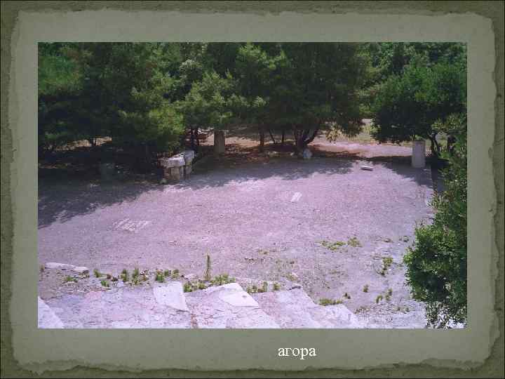 агора 