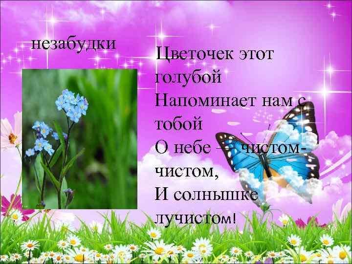  незабудки Цветочек этот голубой Напоминает нам с тобой О небе — чистом, И