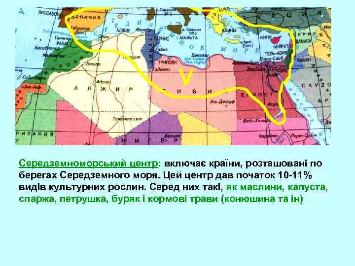 Середземноморський центр: включає країни, розташовані по берегах Середземного моря. Цей центр дав початок 10