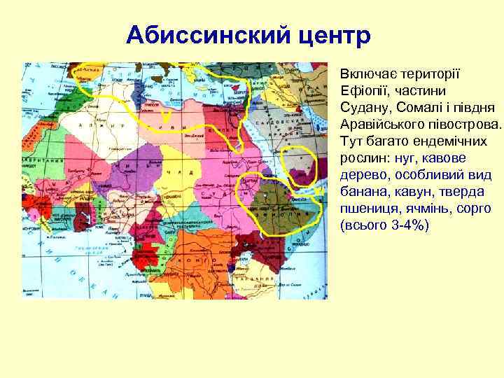 Абиссинский центр Включає території Ефіопії, частини Судану, Сомалі і півдня Аравійського півострова. Тут багато