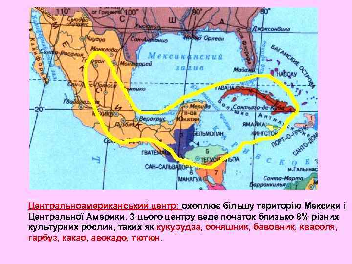 Центральноамериканський центр: охоплює більшу територію Мексики і Центральної Америки. З цього центру веде початок