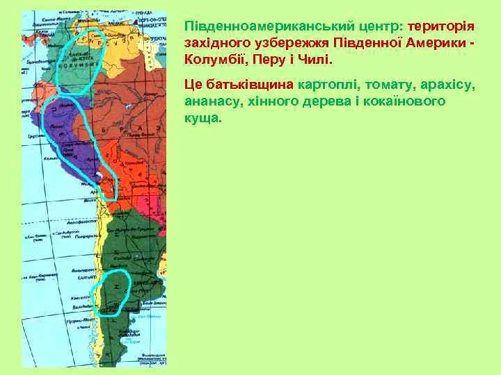 Південноамериканський центр: територія західного узбережжя Південної Америки Колумбії, Перу і Чилі. Це батьківщина картоплі,