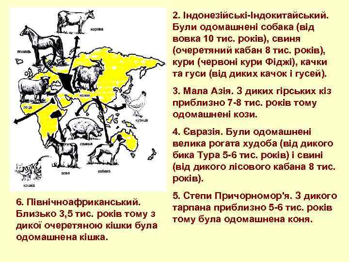 2. Індонезійські-Індокитайський. Були одомашнені собака (від вовка 10 тис. років), свиня (очеретяний кабан 8