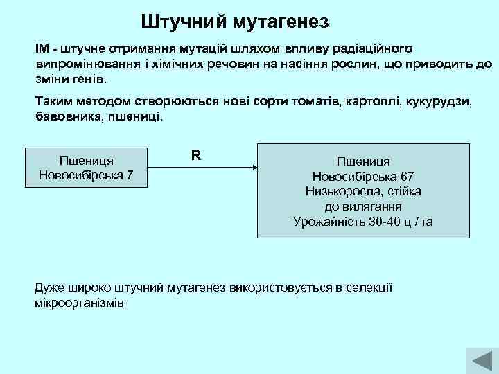 Штучний мутагенез ІМ - штучне отримання мутацій шляхом впливу радіаційного випромінювання і хімічних речовин