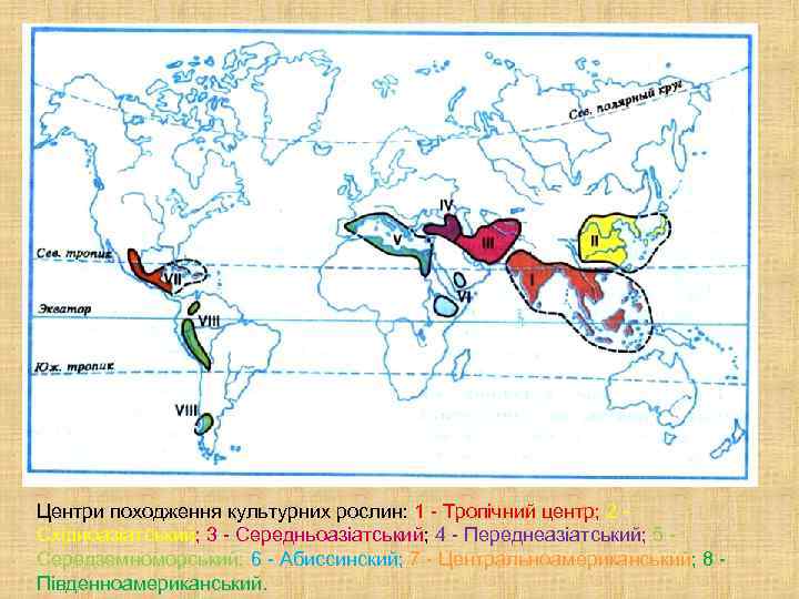 Центри походження культурних рослин: 1 - Тропічний центр; 2 Східноазіатський; 3 - Середньоазіатський; 4