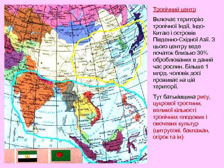 Тропічний центр Включає територію тропічної Індії, Індо. Китаю і островів Південно-Східної Азії. З цього