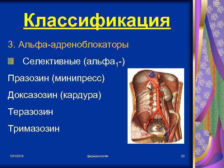 Классификация 3. Альфа-адреноблокаторы Селективные (альфа 1 -) Празозин (минипресс) Доксазозин (кардура) Теразозин Тримазозин 1/31/2018