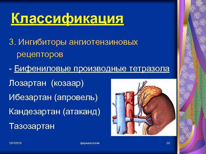 Классификация 3. Ингибиторы ангиотензиновых рецепторов - Бифениловые производные тетразола Лозартан (козаар) Ибезартан (апровель) Кандезартан