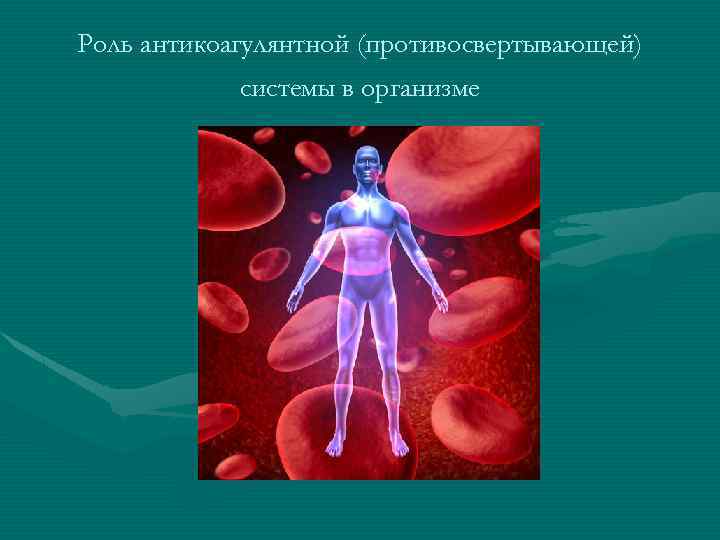Роль антикоагулянтной (противосвертывающей)   системы в организме 