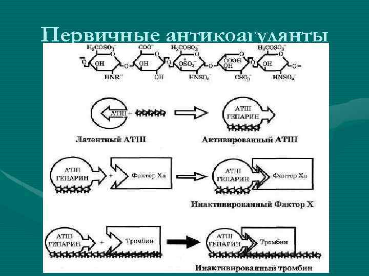 Первичные антикоагулянты 