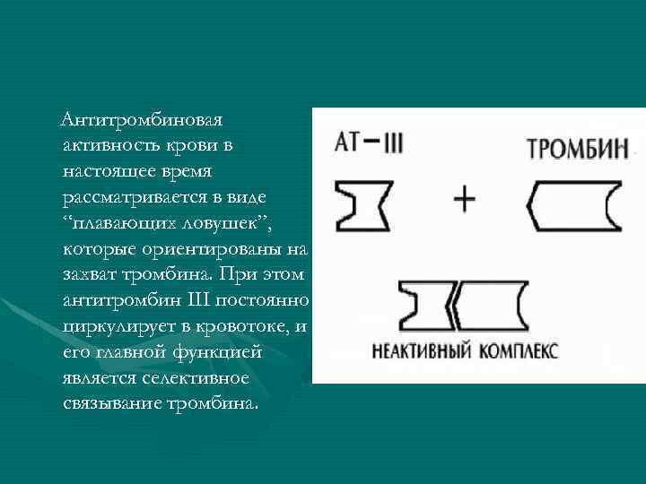 Антитромбиновая активность крови в настоящее время рассматривается в виде “плавающих ловушек”, которые ориентированы на