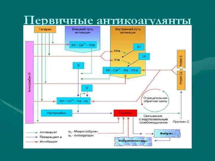 Первичные антикоагулянты 