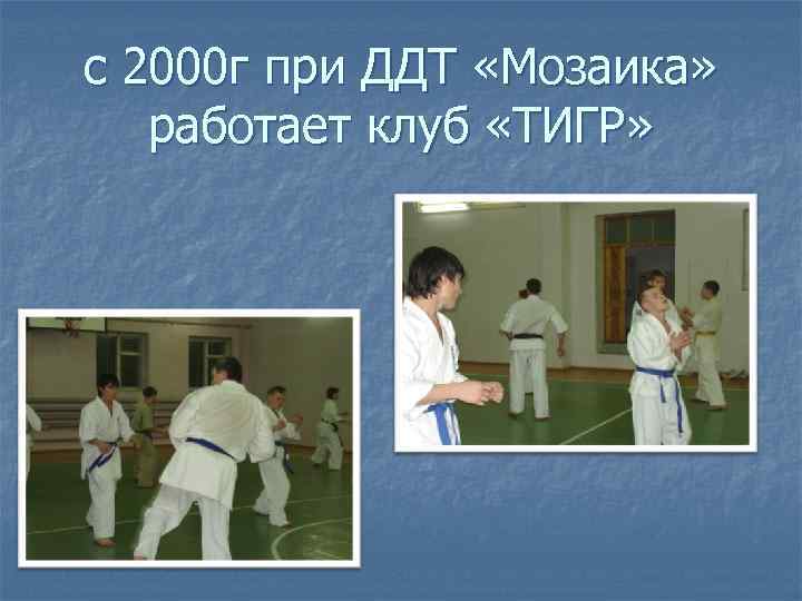 с 2000 г при ДДТ «Мозаика» работает клуб «ТИГР» 