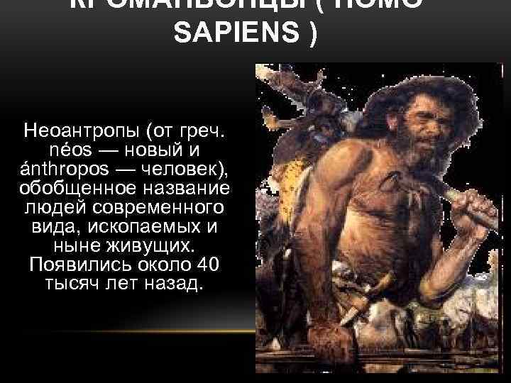 КРОМАНЬОНЦЫ ( HOMO SAPIENS ) Неоантропы (от греч. néos — новый и ánthropos —