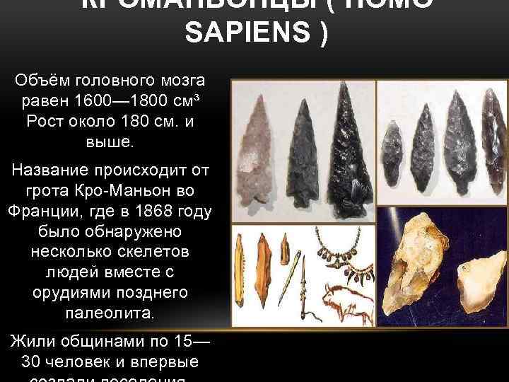 КРОМАНЬОНЦЫ ( HOMO SAPIENS ) Объём головного мозга равен 1600— 1800 см³ Рост около
