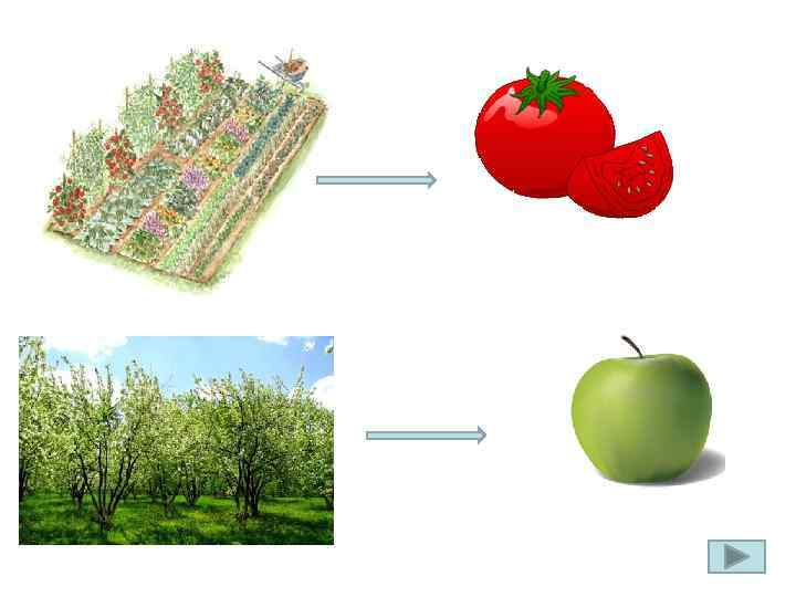 ? Яблоко, Корзина, забор 