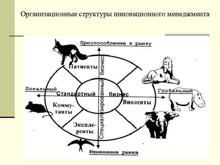 Организационные структуры инновационного менеджмента 