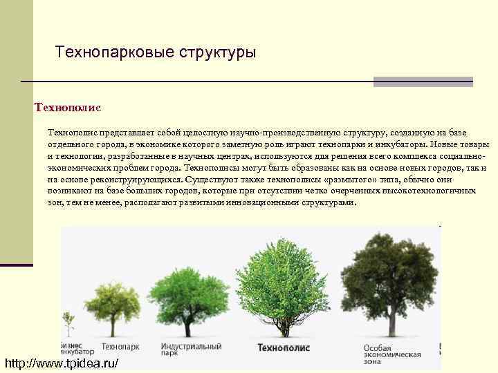 Технопарковые структуры Технополис представляет собой целостную научно производственную структуру, созданную на базе отдельного города,