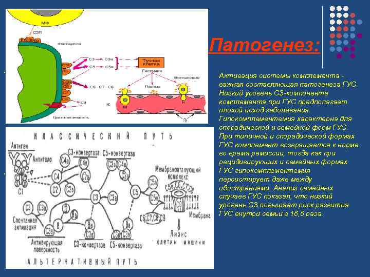 Патогенез: . . Активация системы комплемента - важная составляющая патогенеза ГУС. Низкий уровень СЗ-компонента