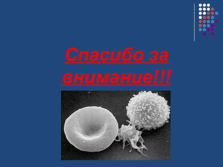 Спасибо за внимание!!! 